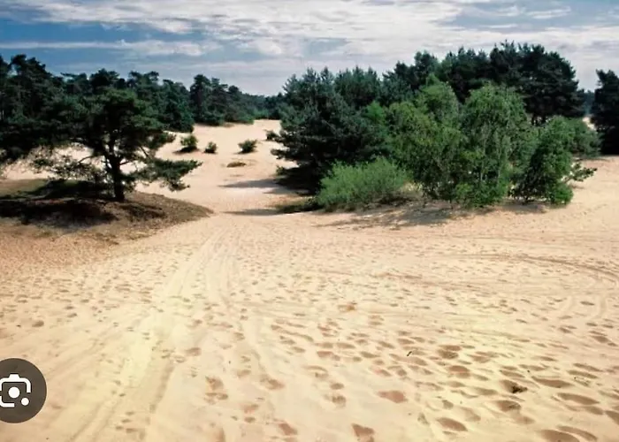 Chalet Bosrijk Veranda, Honden Doornspijk