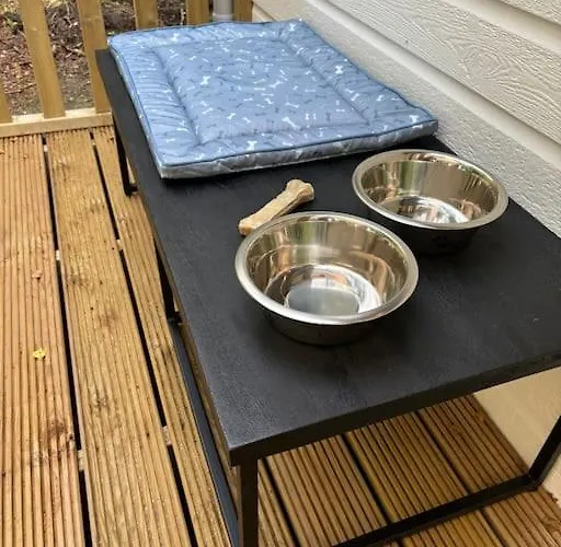 Chalet Bosrijk Veranda, Honden Doornspijk