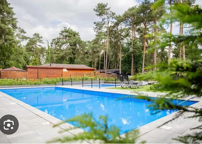 Bosrijk Veranda, Honden