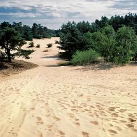 Chalet Bosrijk Veranda, Honden Doornspijk