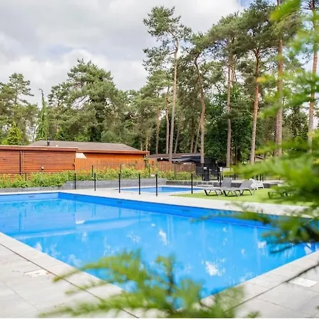 Bosrijk Veranda, Honden