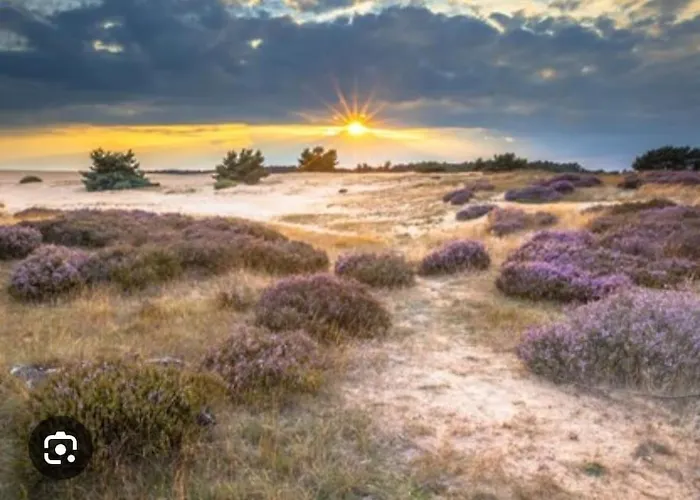 Bosrijk Veranda, Honden Chalet